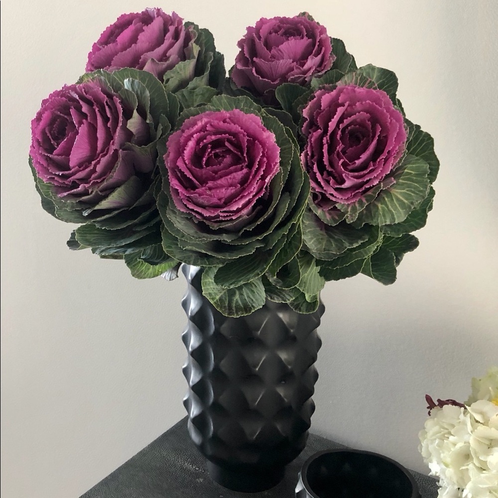 Meet your Posher, Sandy